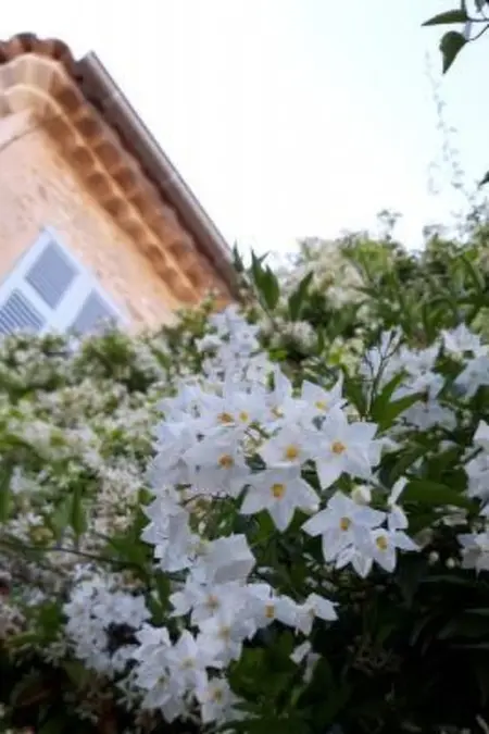 Moderne Wohnung in Mougins mit eigenem Garten, Appartement 5 personnes à Mougins - Photo 27