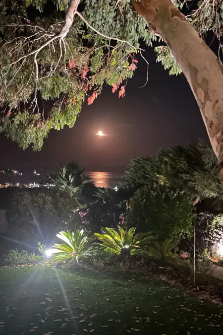 Ferienvilla mit Blick auf das Wasser, Maison 6 personnes à Golfe Juan - Photo 31