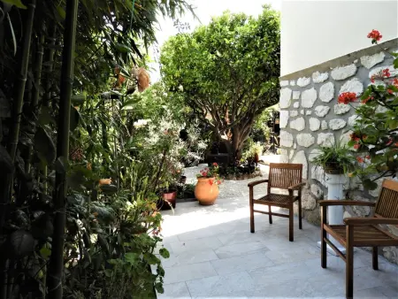Wohnung  Les roses  auf einem eingemauerten Grundstück - Photo 5