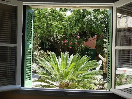 Wohnung  Les roses  auf einem eingemauerten Grundstück - Photo 15