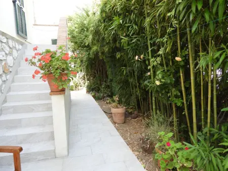 Wohnung  Les roses  auf einem eingemauerten Grundstück - Photo 36