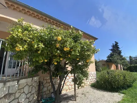 Geräumige und elegante Villa mit großem Garten, Swimmingpool und 3 Schlafzimmer - Photo 31