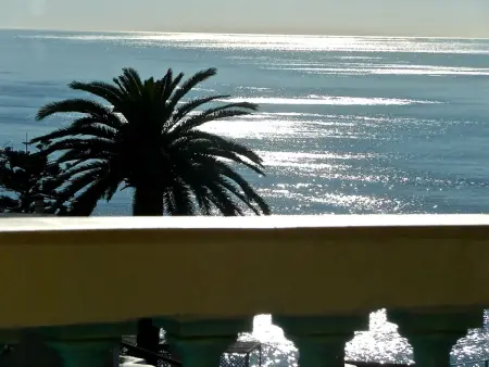 Ferienvilla  Villa Dracoena ., Maison 7 personnes à Nice - Photo 3