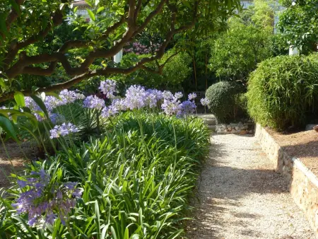 Ferienvilla  Villa Dracoena ., Maison 7 personnes à Nice - Photo 25