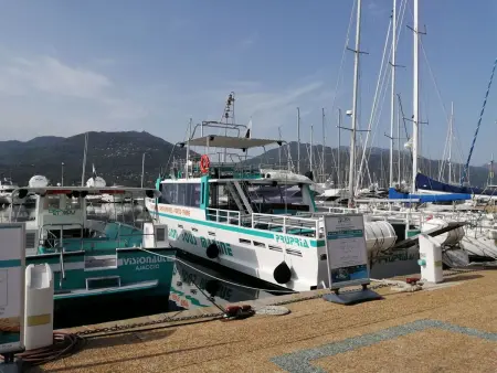 Corse du Sud 10mn von den Stränden entfernt - Olmeto App 4P - Photo 16