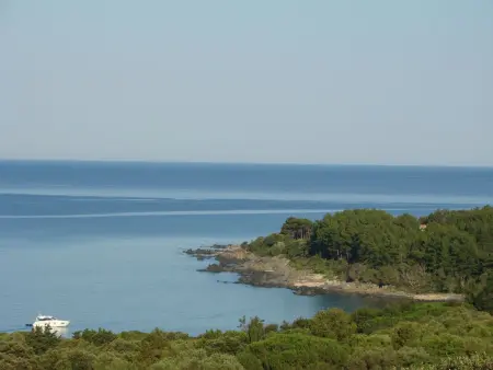 Villa des Plages-Valinco 2Zi Super Meerblick 250m - Photo 2
