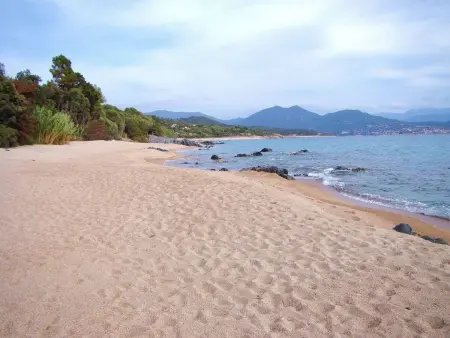 Villa des Plages-Valinco 2Zi Super Meerblick 250m - Photo 20