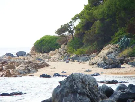 Villa des Plages-Valinco 2Zi Super Meerblick 250m - Photo 21