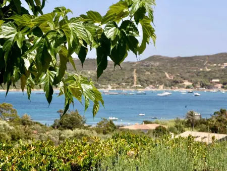 mit Meerblick, 500m bis zum Strand, Maison 6 personnes à Bonifacio - Photo 17