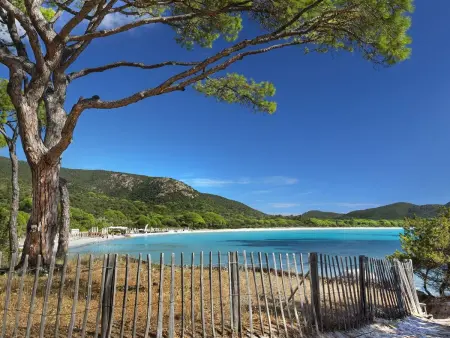 mit Meerblick, 500m bis zum Strand, Maison 6 personnes à Bonifacio - Photo 21