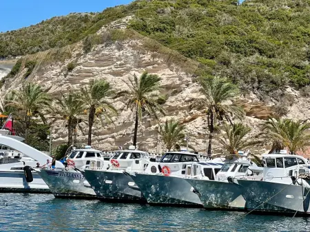 Neue Wohnung 2 Minuten vom Hafen entfernt, Appartement 6 personnes à Bonifacio - Photo 18