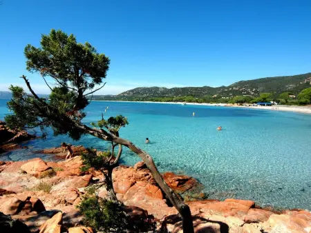 am Meer in Korsika, Appartement 4 personnes à Solenzara - Photo 15
