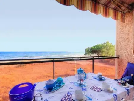 Blaue Flucht Korsika, Appartement 2 personnes à San Giovanni di Moriani - Photo 6