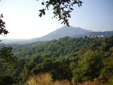 Sole e Ventu, Maison 3 personnes à San Giovanni di Moriani - Photo 28