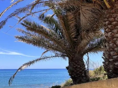 Résidence Amanda, Appartement 4 personnes à Moriani Plage - Photo 37
