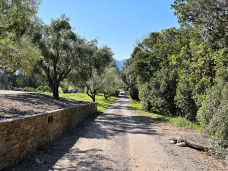 Domaine Punta della Guardia Maison A Figa mit Blick auf das Meer - Photo 22