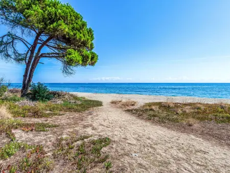 Domaine Punta della Guardia Maison A Figa mit Blick auf das Meer - Photo 36