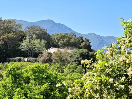 Weingut Punta della Guardia Ruhig und beschaulich - Photo 14