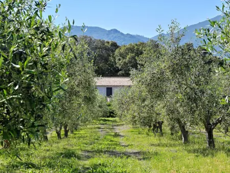 Weingut Punta della Guardia Ruhig und beschaulich - Photo 15