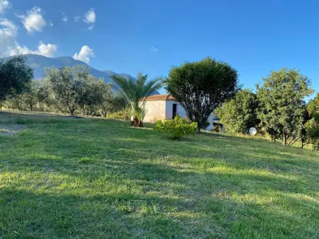 Villa mit Meerblick U Castagnu in geschützter Natur - Photo 7