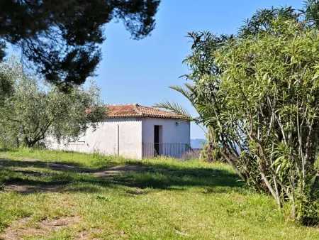 Villa mit Meerblick U Castagnu in geschützter Natur - Photo 12