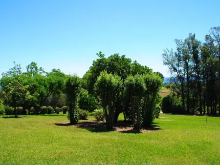 Villa mit Meerblick U Castagnu in geschützter Natur - Photo 27