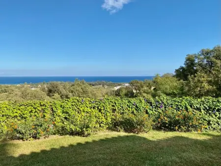 Weingut Punta della Guardia Panorama von Macchia und Meer - Photo 17