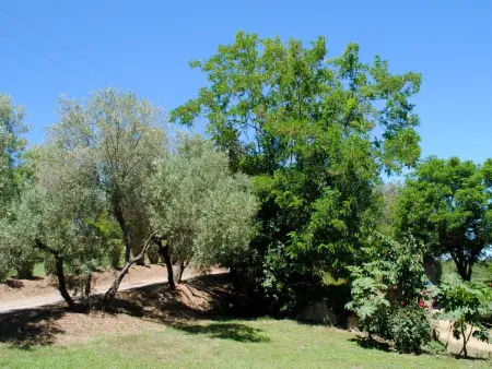 Villa Belle Vue, direkt am Meer, 1-2 Haustiere erlaubt - Photo 4
