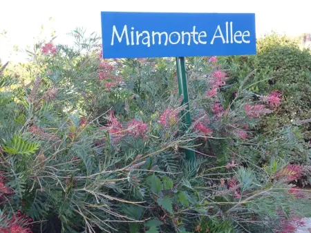 Villa Miramonte, Maison 6 personnes à Folelli - Photo 4
