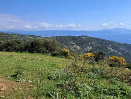 Casa zinu  mit Blick aufs Meer, Maison 6 personnes à Cargèse - Photo 11