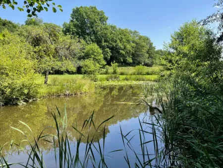 für 6 Pers. mit eigenem Teich, Maison 5 personnes à Montceau les Mines - Photo 1