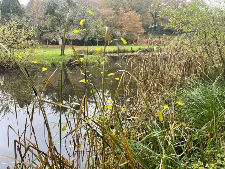 für 6 Pers. mit eigenem Teich, Maison 5 personnes à Montceau les Mines - Photo 21