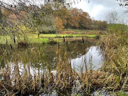 für 6 Pers. mit eigenem Teich, Maison 5 personnes à Montceau les Mines - Photo 22