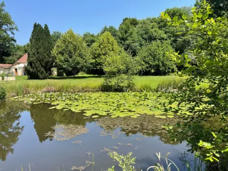 für 6 Pers. mit eigenem Teich, Maison 5 personnes à Montceau les Mines - Photo 23