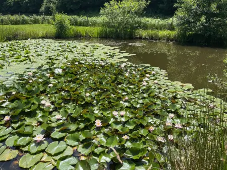 für 6 Pers. mit eigenem Teich, Maison 5 personnes à Montceau les Mines - Photo 24