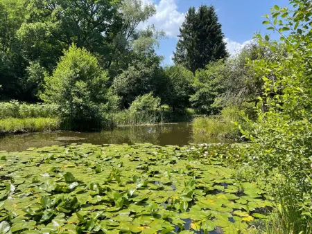 für 6 Pers. mit eigenem Teich, Maison 5 personnes à Montceau les Mines - Photo 25