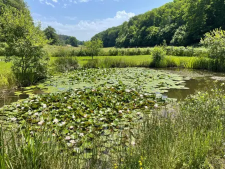 für 6 Pers. mit eigenem Teich, Maison 5 personnes à Montceau les Mines - Photo 26