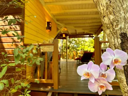 Cabane Aux Etoiles Au Jardin des Colibris (Sternenhütte im Garten der Hummingbi - Photo 1