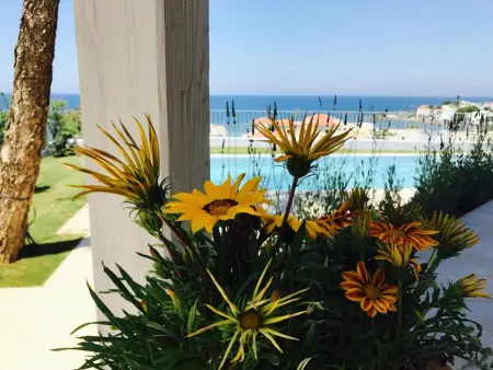 Thea Thalassa  mit eigenem Pool, Maison 5 personnes à Agia Marina - Photo 7