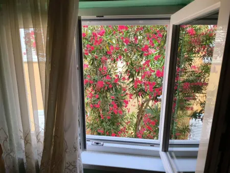 für 3 Personen  + 1 Kind ca. 68 m&sup2; in Žaboric, Dalmatien (Gespanschaft Sib - Photo 17
