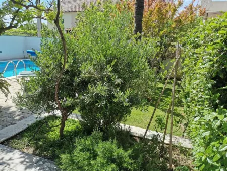 mit Privatpool neben dem Strand, Maison 12 personnes à Omiš - Photo 19