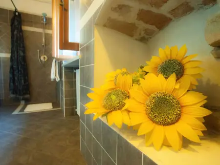 Girasoli, Appartement 3 personnes à Cavagnolo - Photo 11