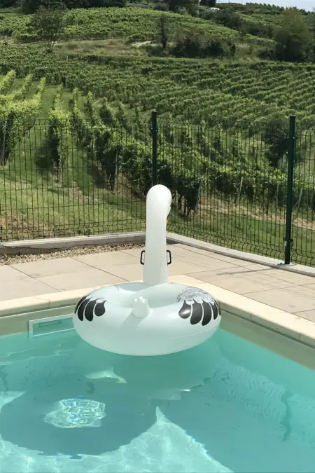 mit privatem Pool, AC und Weinkeller, Maison 8 personnes à Cisterna d'Asti - Photo 30