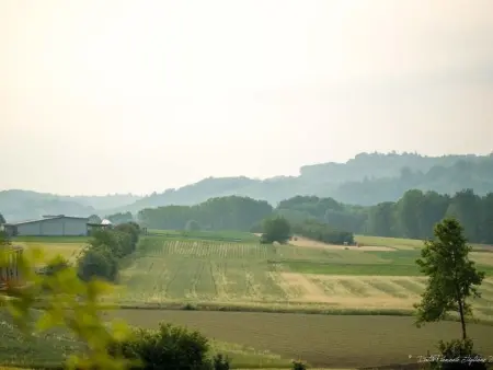 Villa Piemonte, Maison 18 personnes à Tigliole - Photo 38