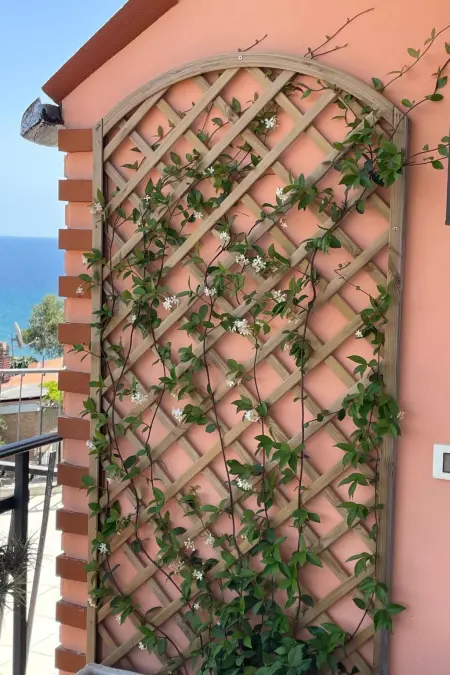 Panorama-Haus, Appartement 4 personnes à Diano Marina - Photo 9