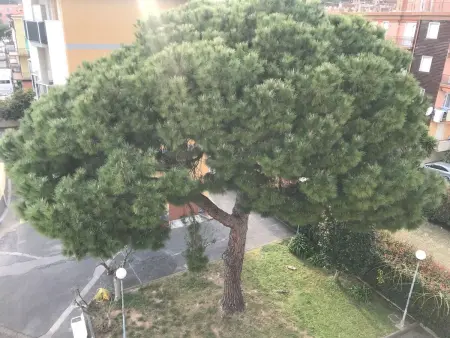 'White' mit Balkon, Appartement 4 personnes à Pietra Ligure - Photo 13