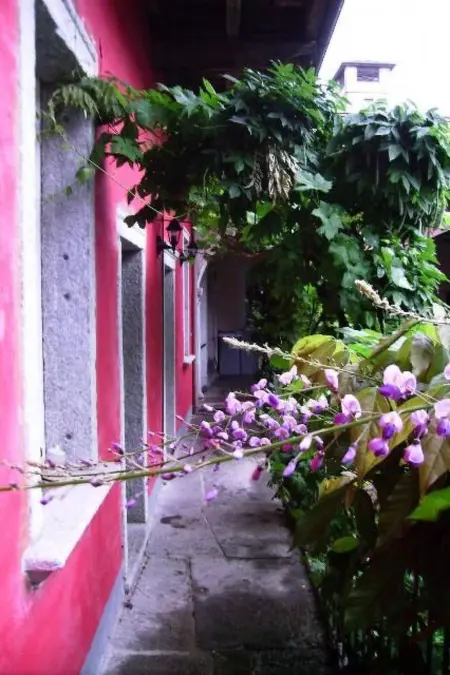 Wohnung 'Glicine' mit Wasserblick, Appartement 2 personnes à Miasino - Photo 1