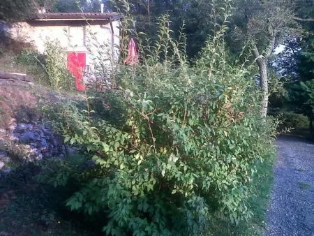 Niederwaldhaus in Solto Collina, Maison 4 personnes à Fonteno - Photo 1