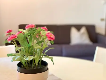 Gemütliche Drei-Zimmer-Wohnung mit Garten, Appartement 6 personnes à Sirmione - Photo 9