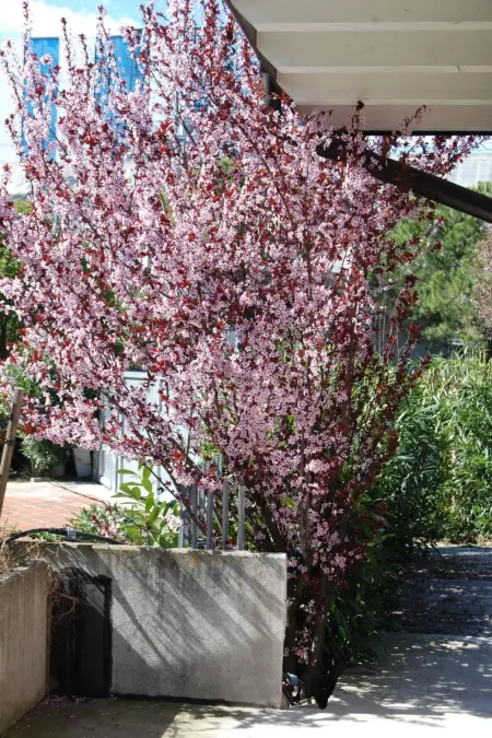 Wohnung 'Garda' mit Terrasse, Appartement 4 personnes à Desenzano - Photo 1
